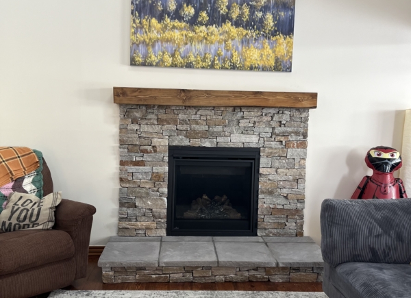 Napoleon Gas Fireplace